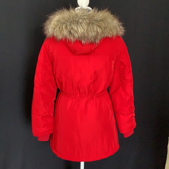 Divided - Picture 2 of 2